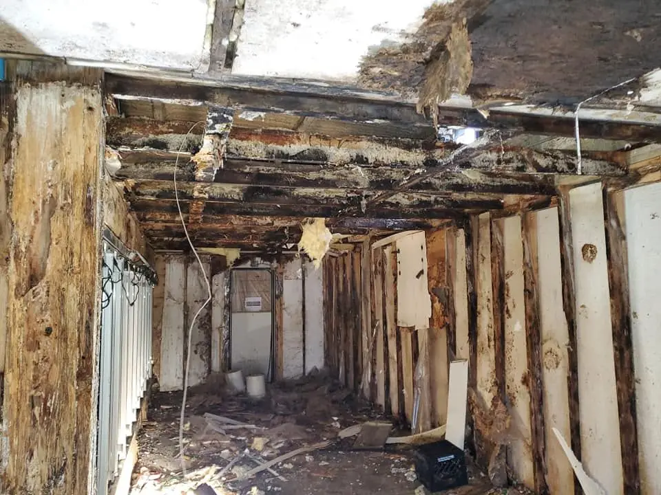 Heavy mold and water damage on walls and ceiling before remediation