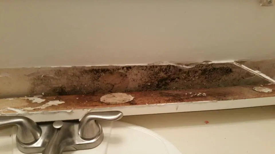 Mold spots on interior trim and wall surfaces