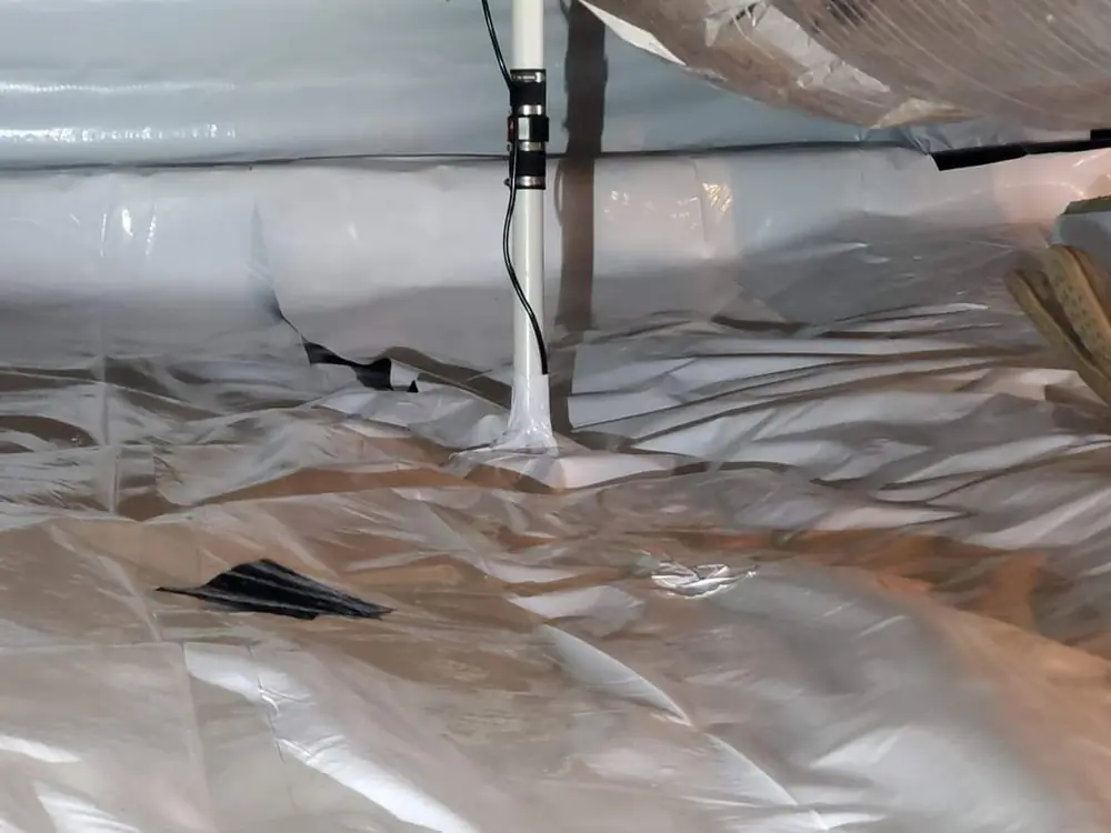Crawlspace after encapsulation with a white vapor barrier over the floor and up the piers