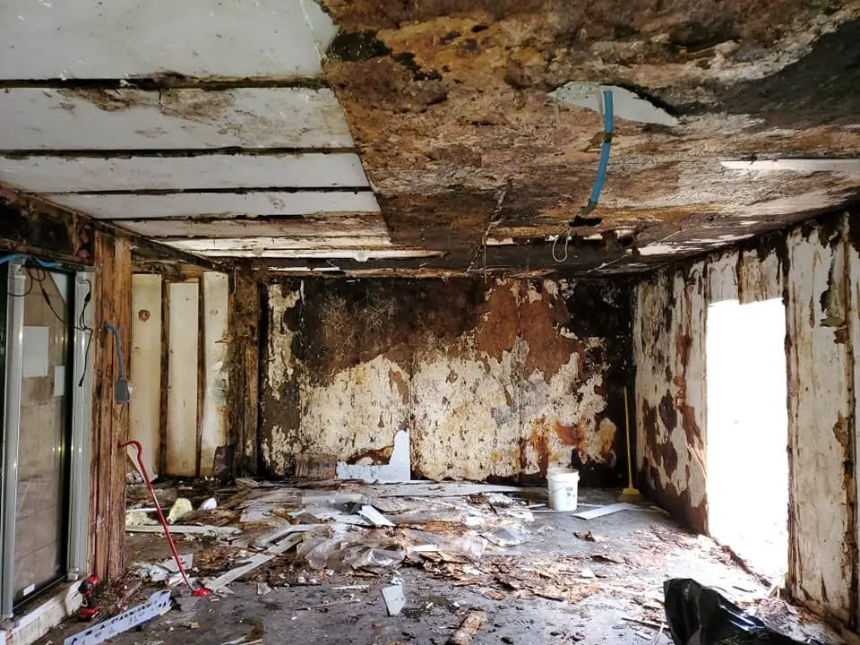 Heavy mold and water damage on walls and ceiling before remediation