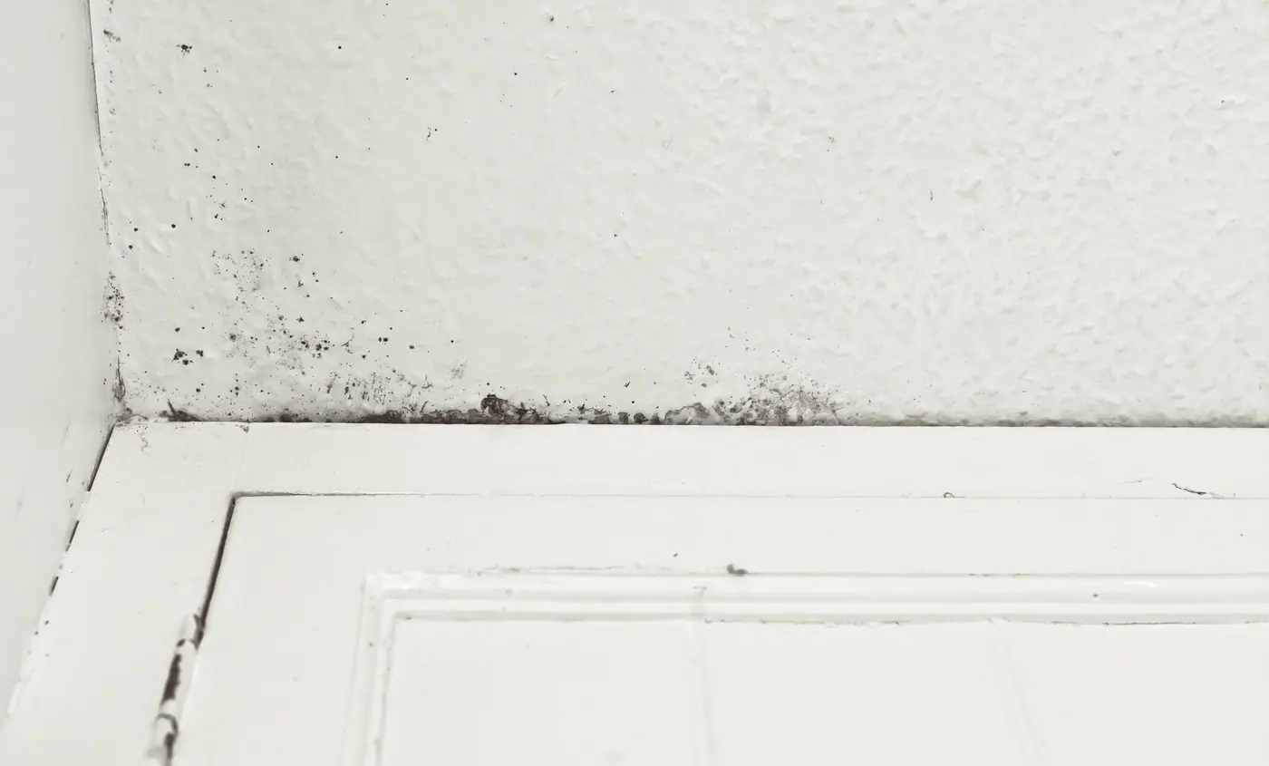 Clean white door frame and wall corner where mold was treated
