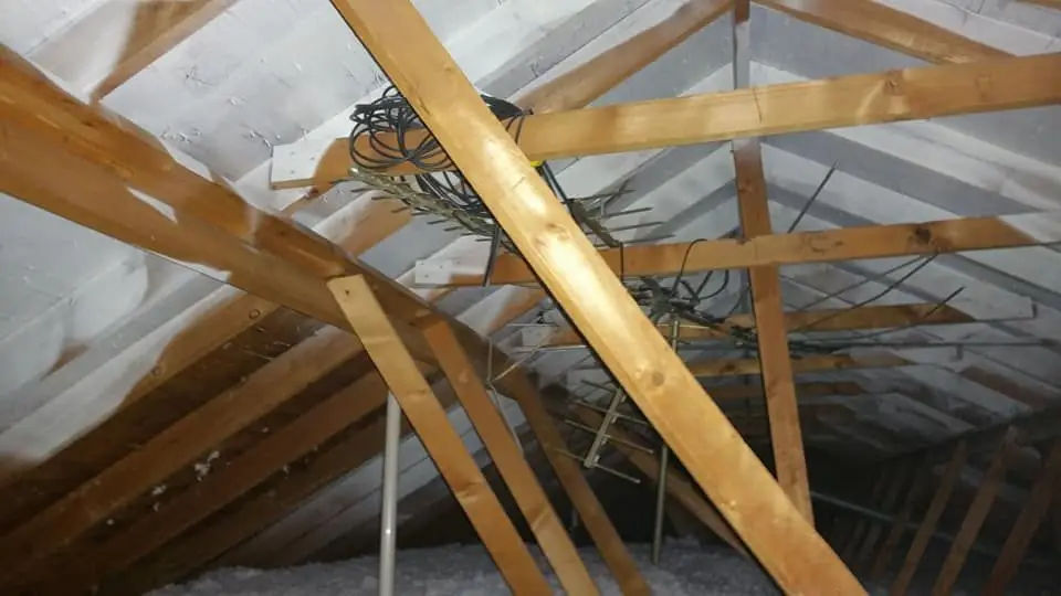 Attic rafters and roof decking during a mold job
