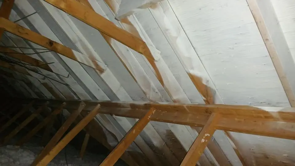 Attic rafters and roof decking during a mold job